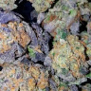 Meet your Posher, Chase